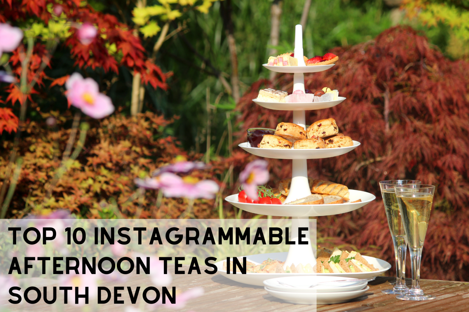 Top 10 instagrammable Afternoon teas in South Devon